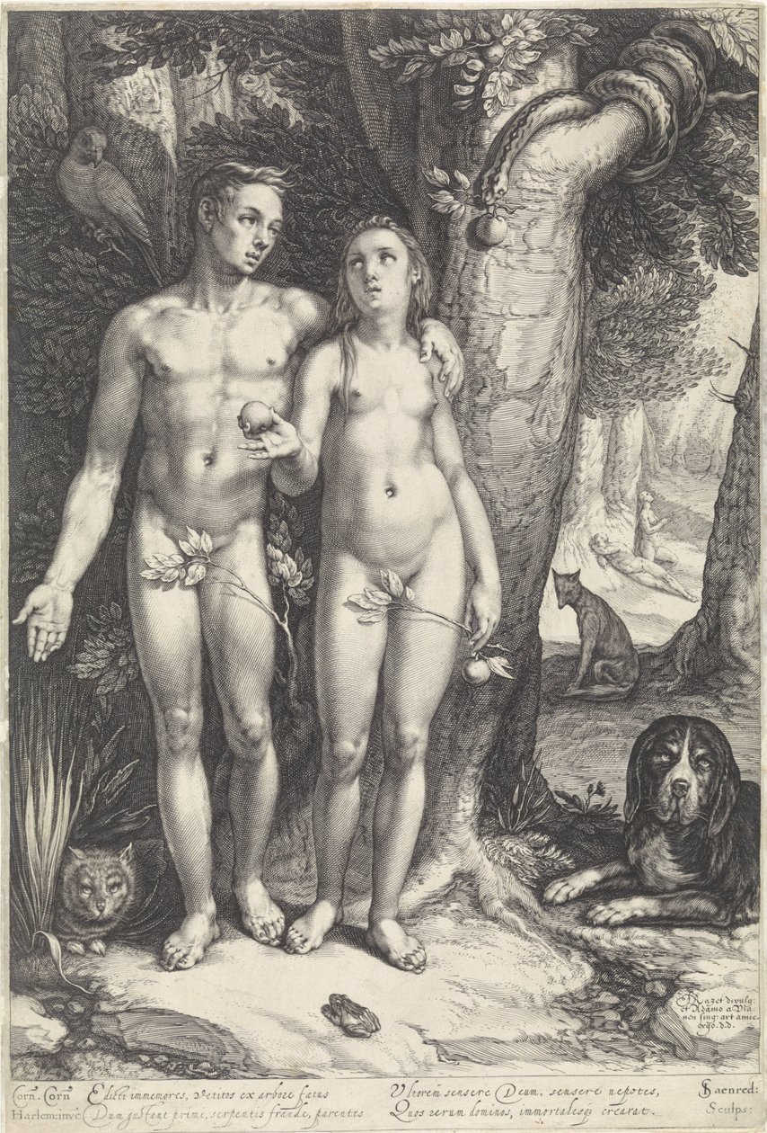 Adamın düşmesi by Jan Saenredam