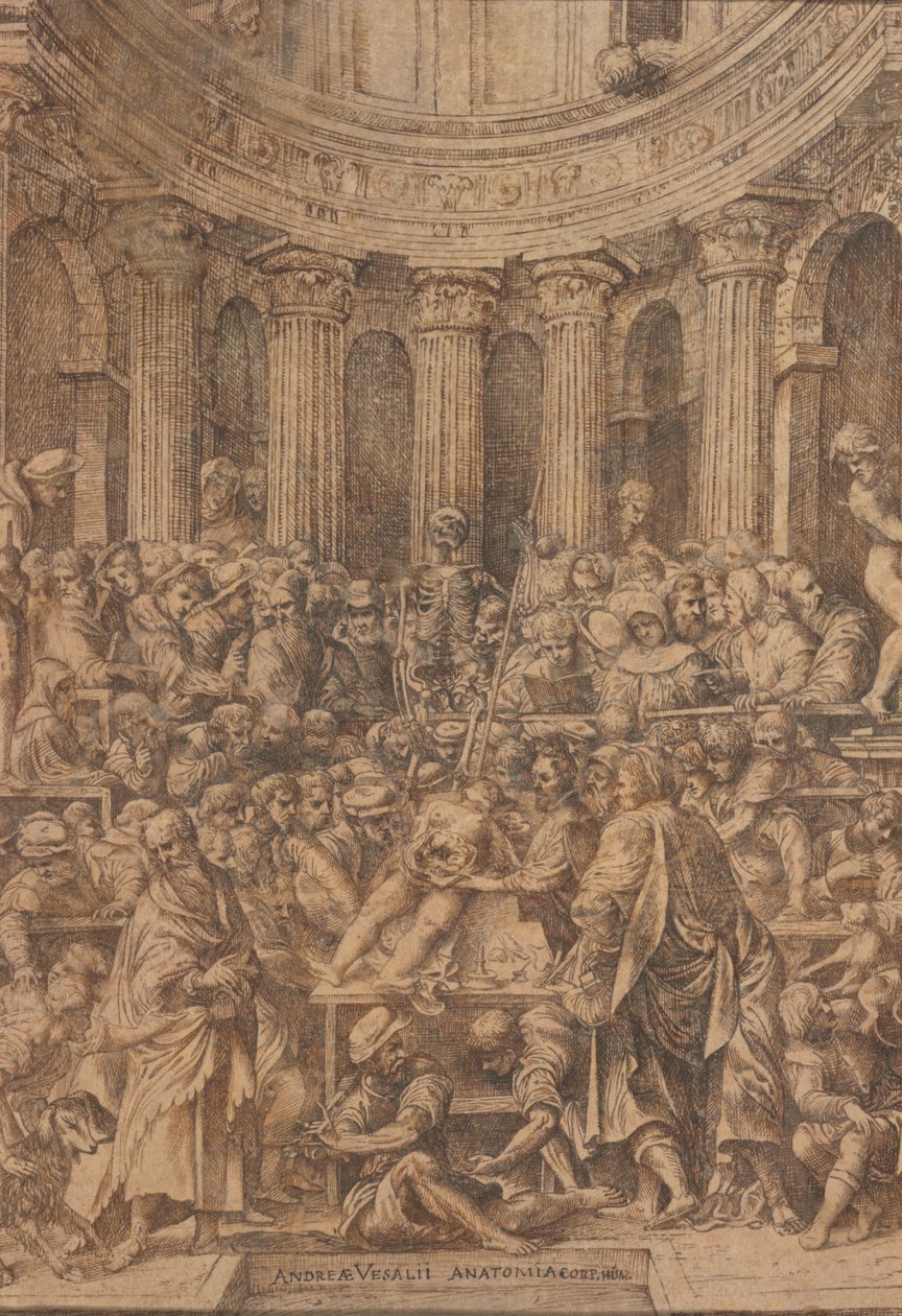  by Jan Stephen Calcar