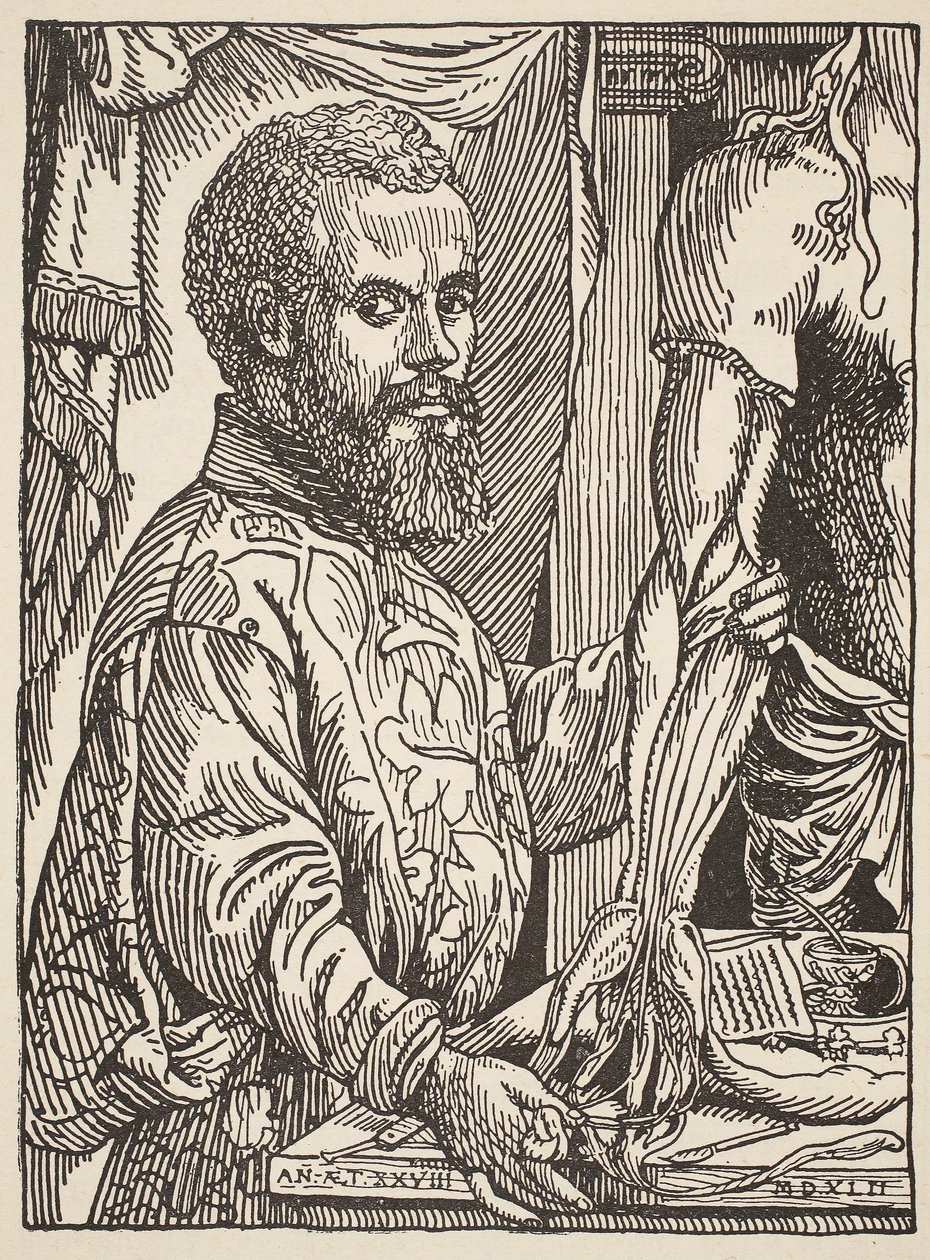 Andre Vesale, Boris Mestchersky