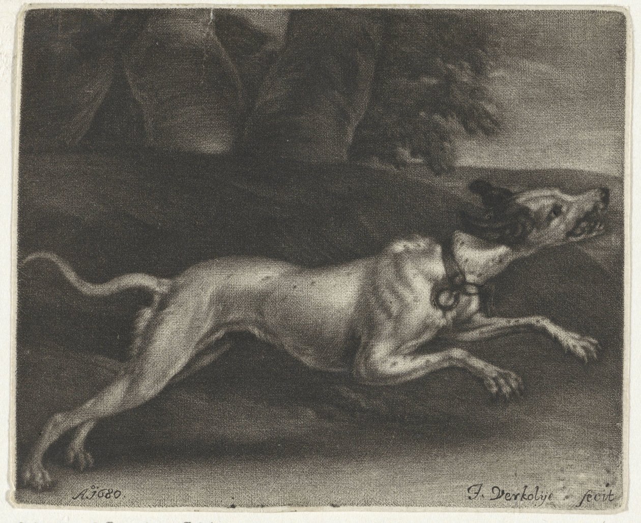 koşan köpek by Jan Verkolje (I)
