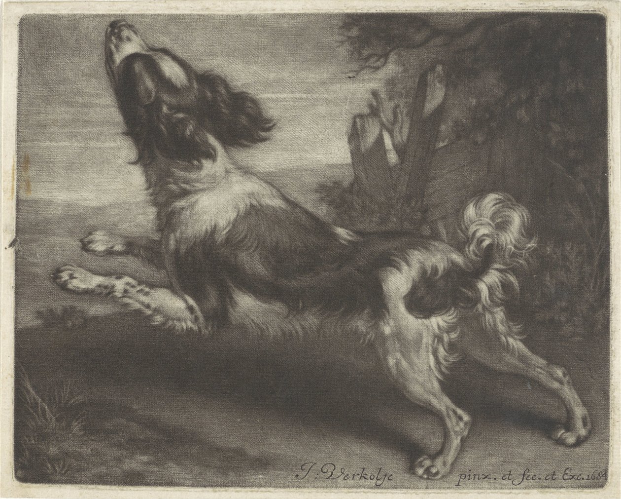 Koşan köpek, muhtemelen bir İspanyol by Jan Verkolje (I)