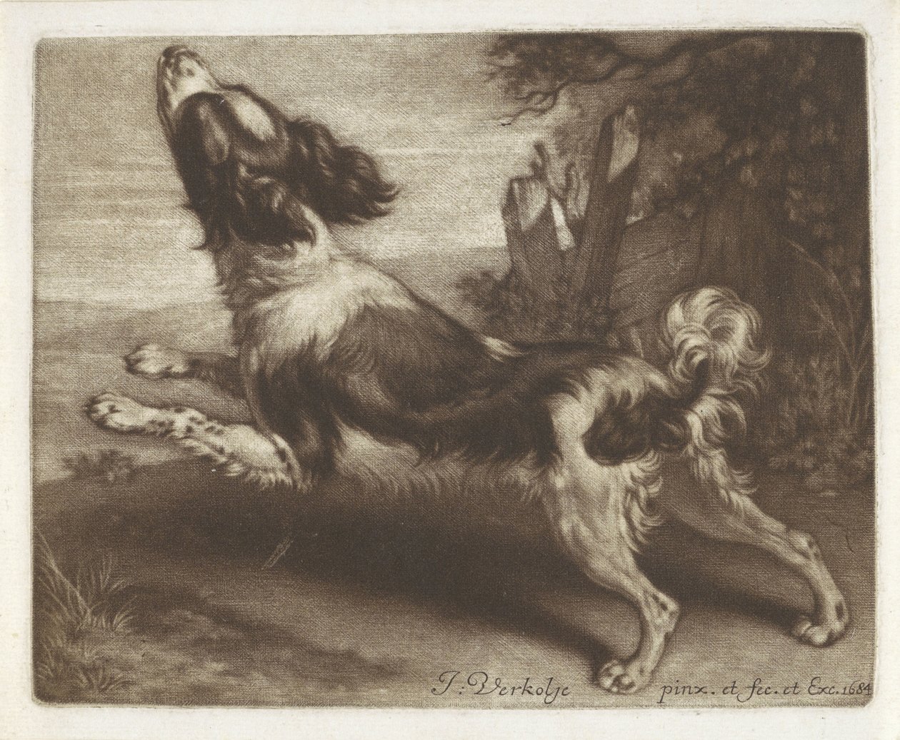 Koşan köpek, muhtemelen bir İspanyol by Jan Verkolje (I)