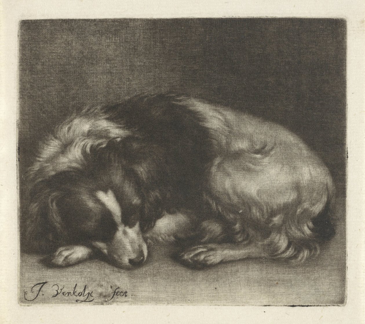 Uyuyan köpek, muhtemelen bir İspanyol by Jan Verkolje (I)
