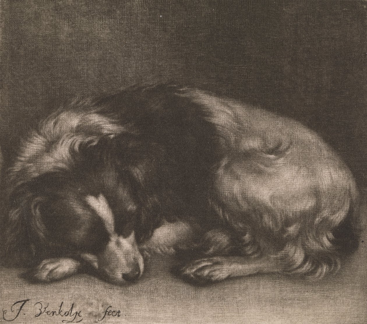 Uyuyan Köpek by Jan Verkolje