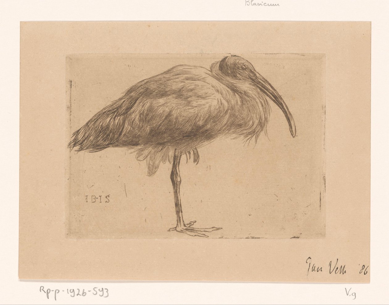 Ibis (nesne üzerindeki orijinal başlık) by Jan Veth (signed by artist)