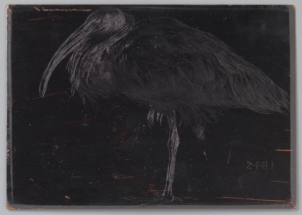 Ibis (nesne üzerindeki orijinal başlık) by Jan Veth