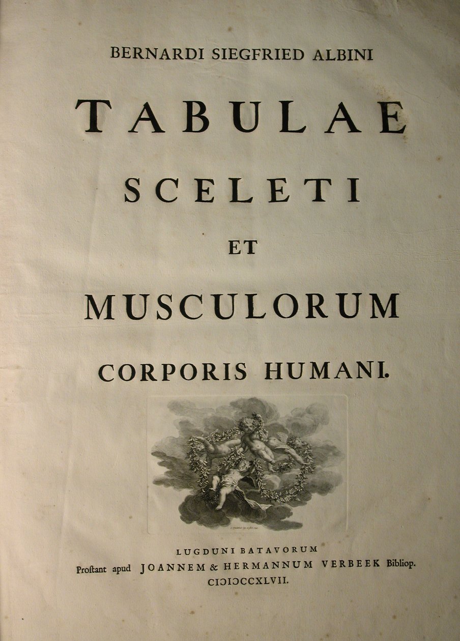 Albinus I, Başlık Sayfası, 'İnsan vücudunun iskelet kasları ve kasları', Bernhard Siegfried Albinus (1697-1770), J.undH. Verbeek, bibliop., Leiden, 1747 by Jan Wandelaar