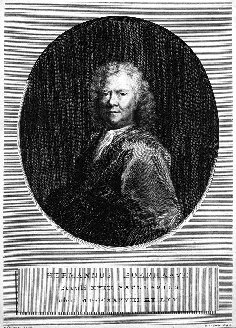 Jacobus Houbraken tarafından kazınmış Herman Boerhaave by Jan Wandelaar