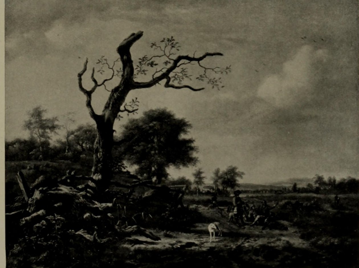  by Jan Wijnants