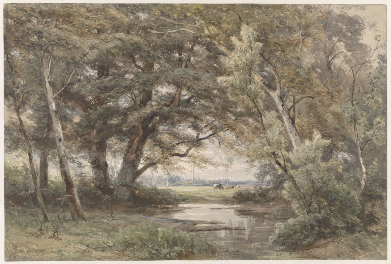 Bir ormanın sonunda ağaçların altında su by Jan Willem van Borselen