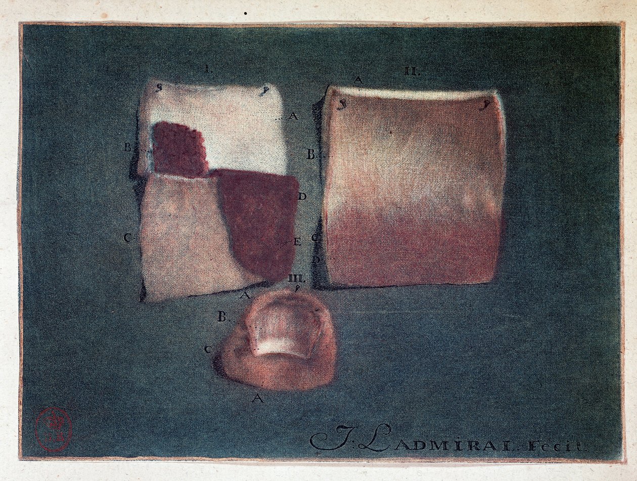Cildin farklı renkleri, Ladmiral by Jan or Joannes Ladmiral