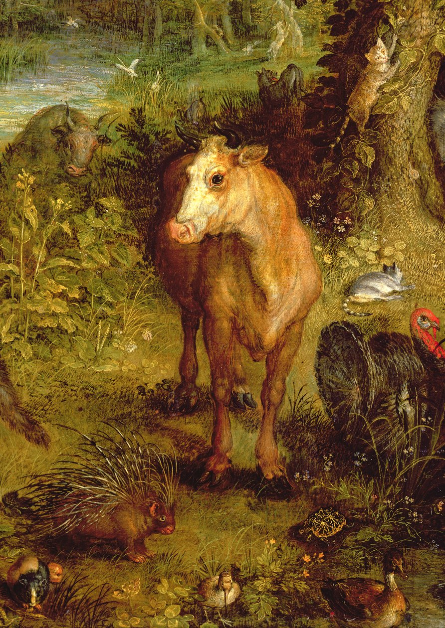 Dünya veya Dünya Cenneti, bir inek, kirpi ve diğer hayvanların detayı, 1607-08 bakır detayı 93899 by Jan the Elder Brueghel