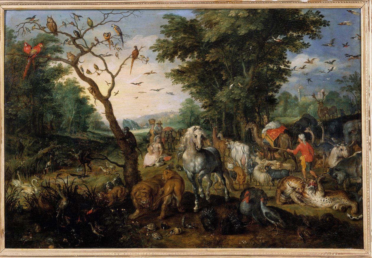 Jan Bruegel (veya Breugel veya Brueghel veya Breughel) tarafından eski Bruegel de Velours (1568-1625) 17. yüzyıl Orleans, Musee des Beaux Arts - Hayvanların Nuh