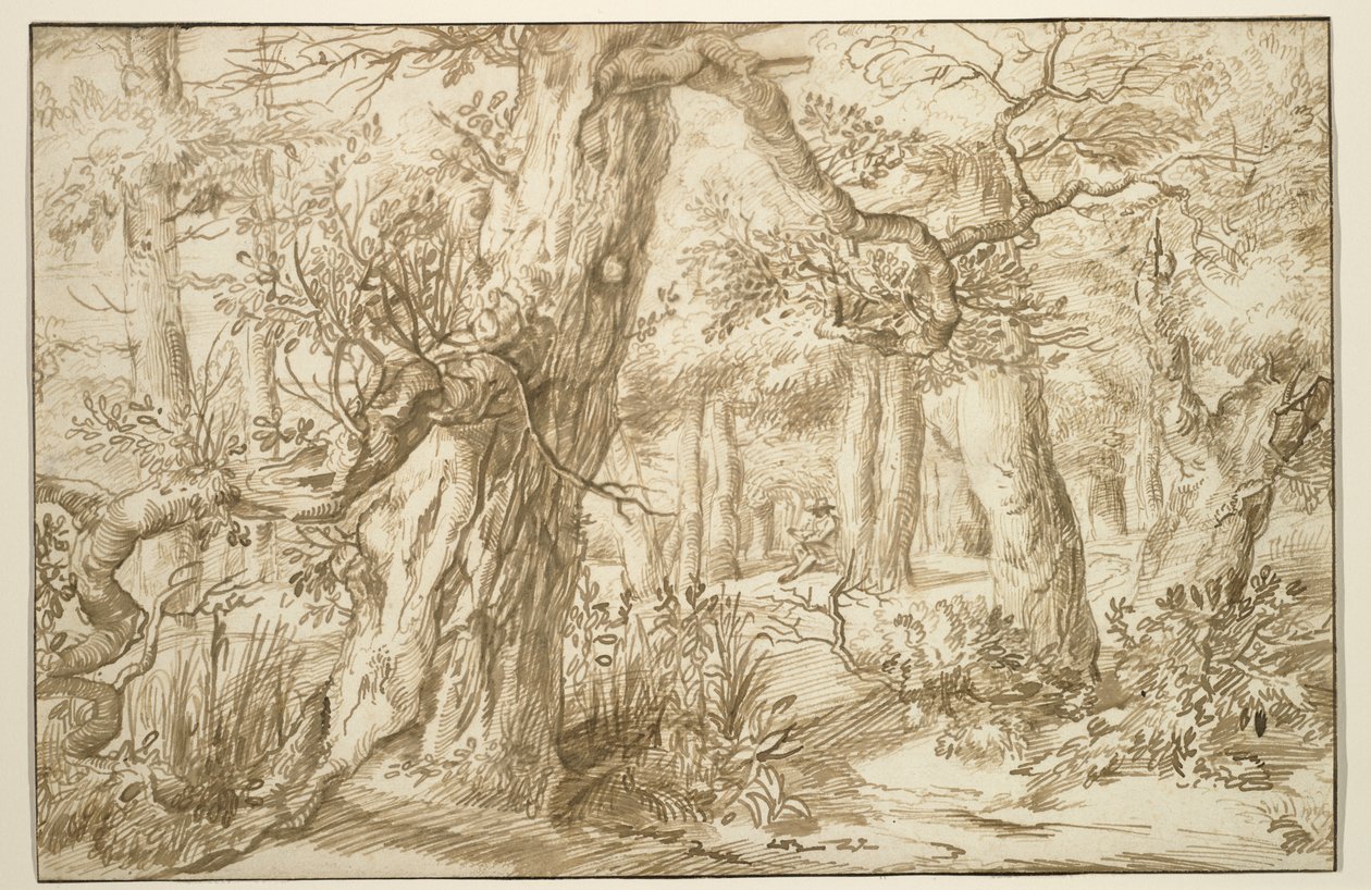 Ressamlı Orman İç Mekanı, c.1664 (antika serilmiş kağıt üzerine kahverengi mürekkep) by Jan the Elder Lievens