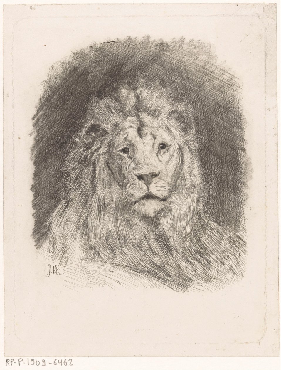 Aslan başı by Jan van Essen