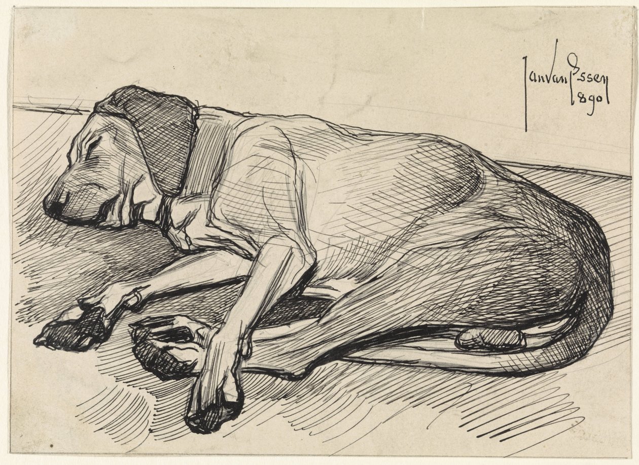 Uyuyan köpek, solda by Jan van Essen