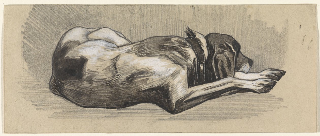 Uyuyan köpek, sağda by Jan van Essen