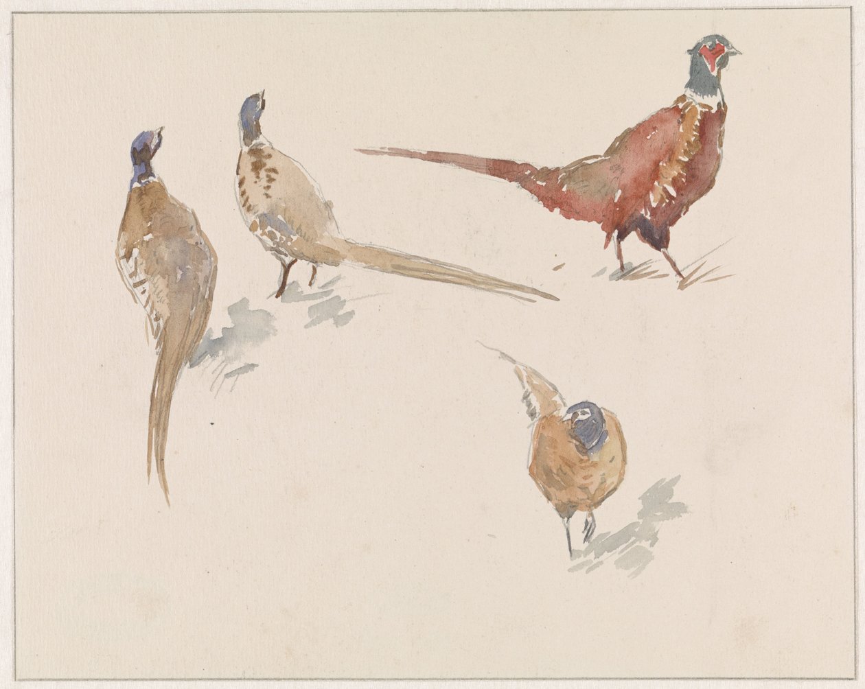 dört sülün by Jan van Essen