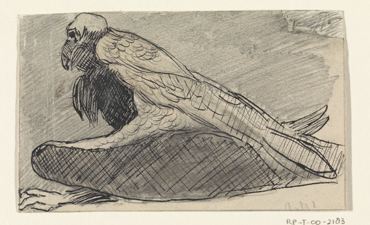 oturan akbaba by Jan van Essen