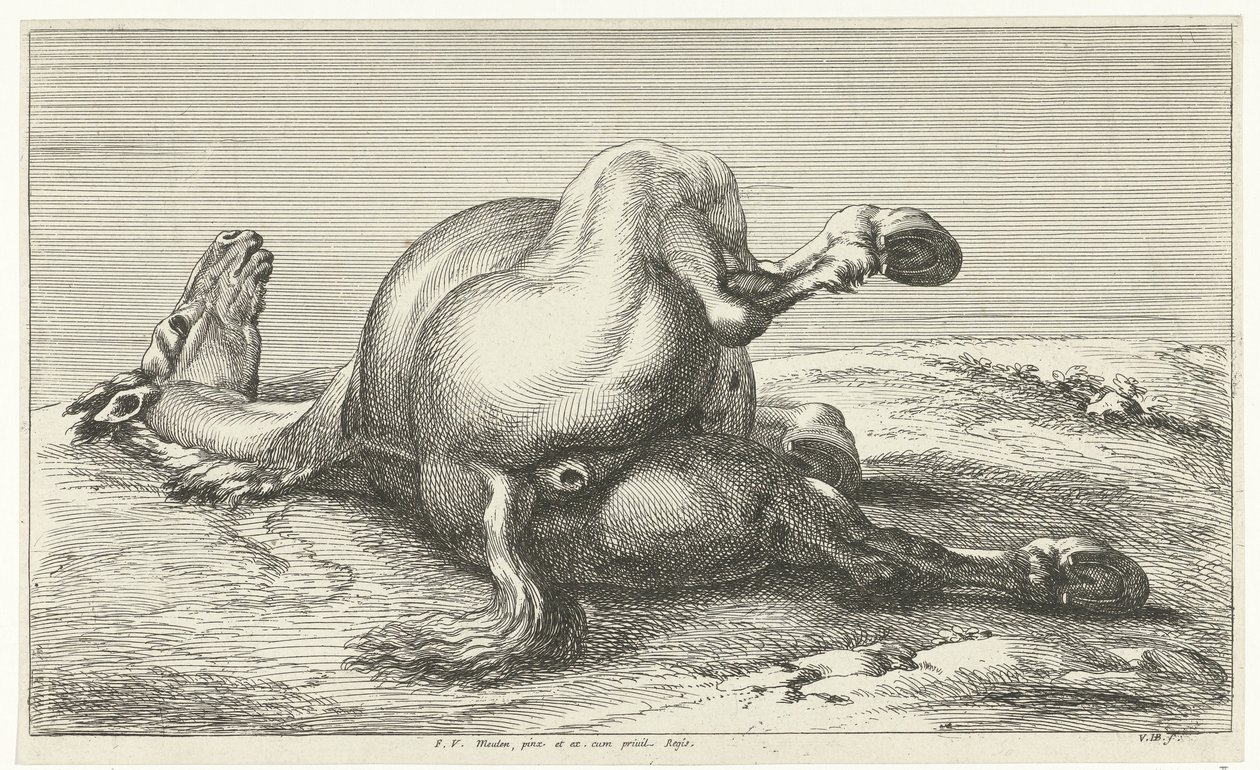 düşmüş at Ölü Atlar (dizi adı) by Jan van Huchtenburg