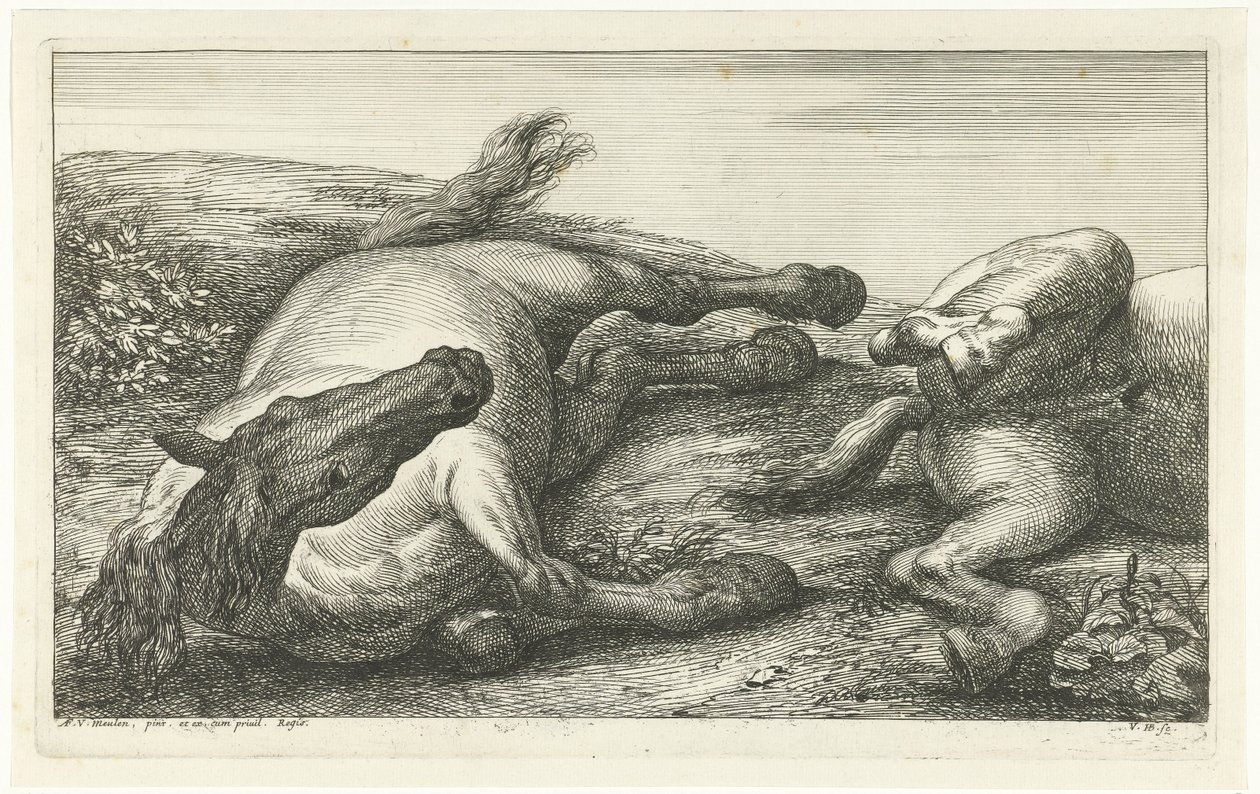 Önden görülen iki düşmüş at, soldaki Ölü Atlar (dizi adı) by Jan van Huchtenburg