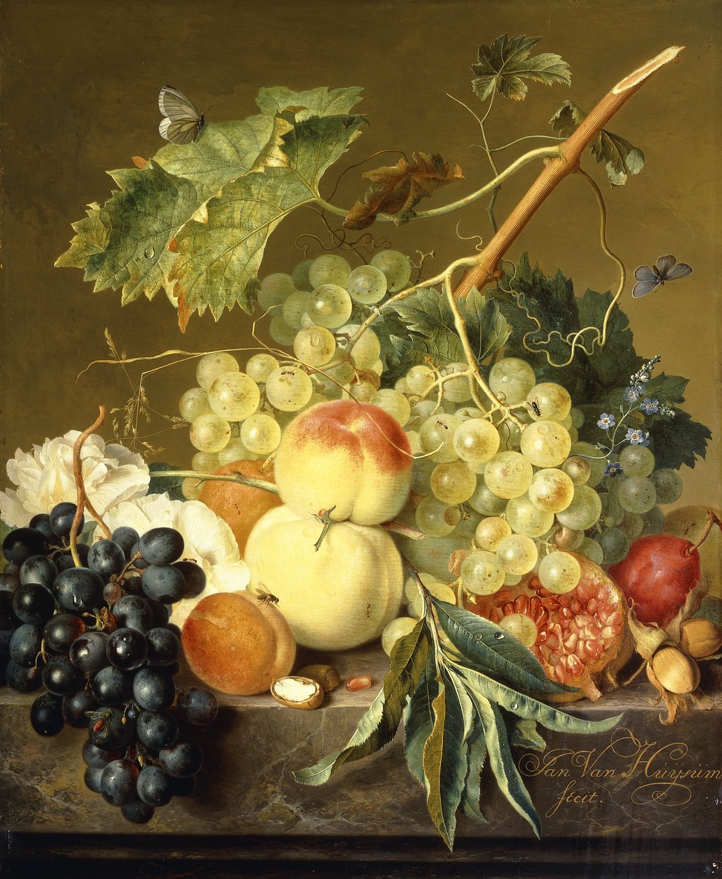 Mermer Kenarda Meyve, Fındık ve Gülhatmi, by Jan van Huysum