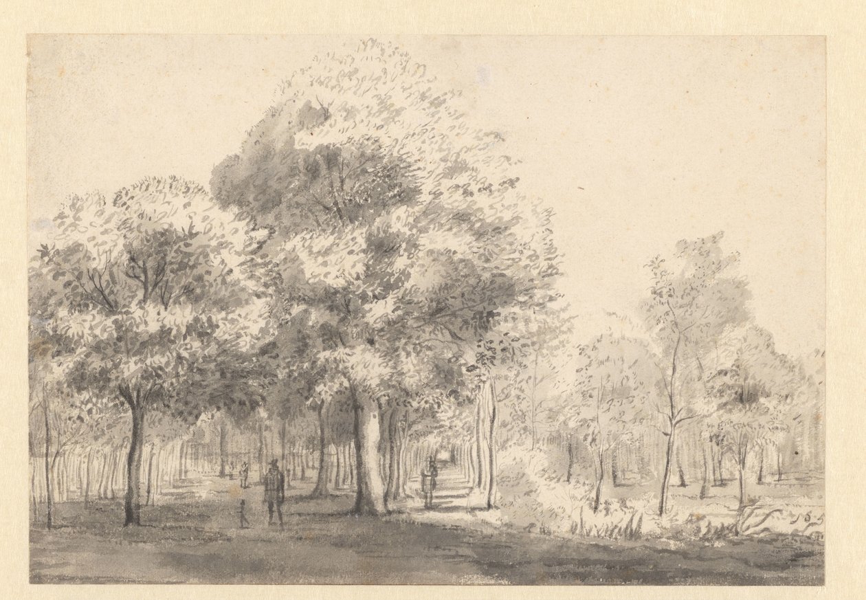 Haarlemmerhout