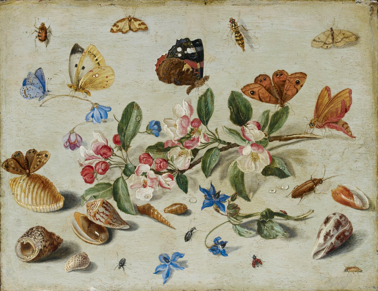 Çiçekler ve Böcekler, 1650