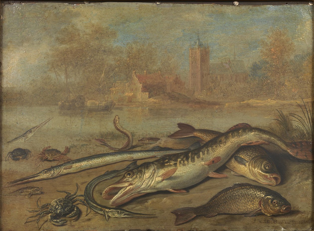  by Jan van Kessel the Elder