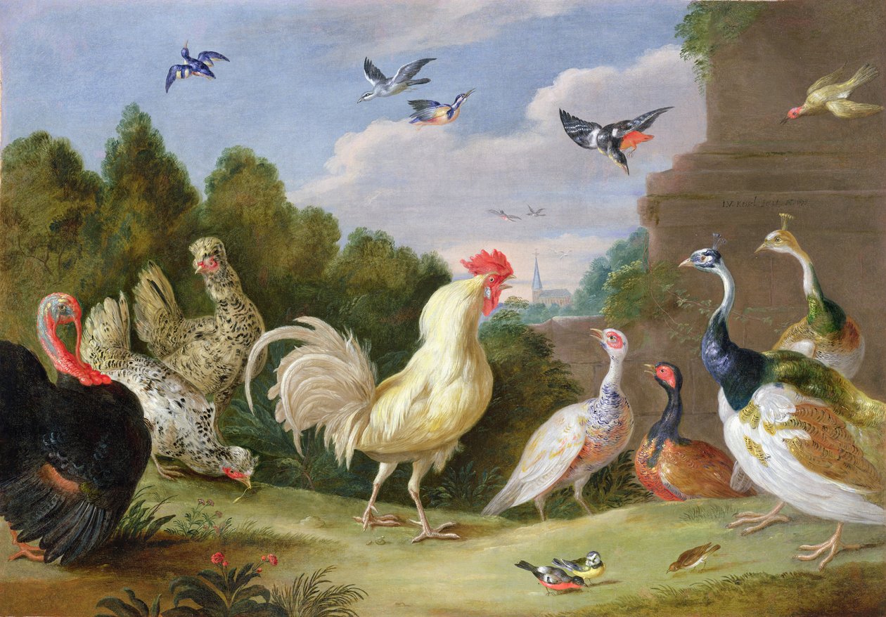 Horozlu Ormanlık Peyzaj, Hindi, Tavuklar ve Diğer Kuşlar, 17. Yüzyıl by Jan van Kessel the Elder