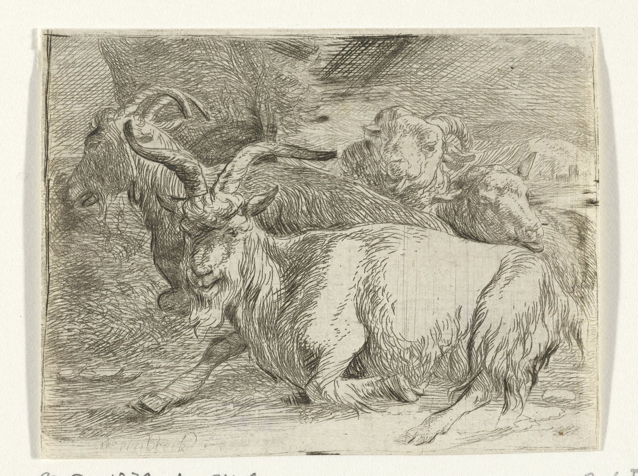 İki keçi ve iki koyun by Jan van Ossenbeeck