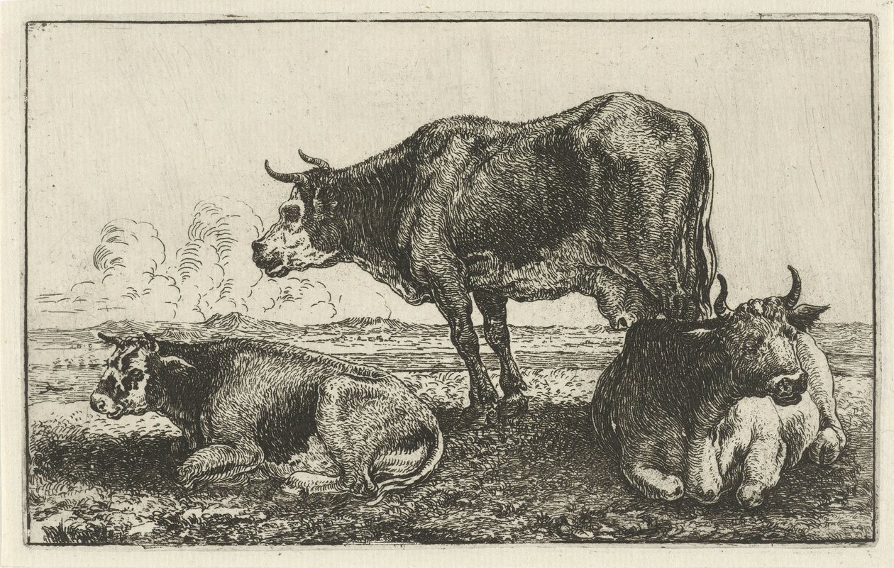 üç inek Hayvanlar (dizi adı) Zoographiam (dizi adı) by Jan van den Hecke