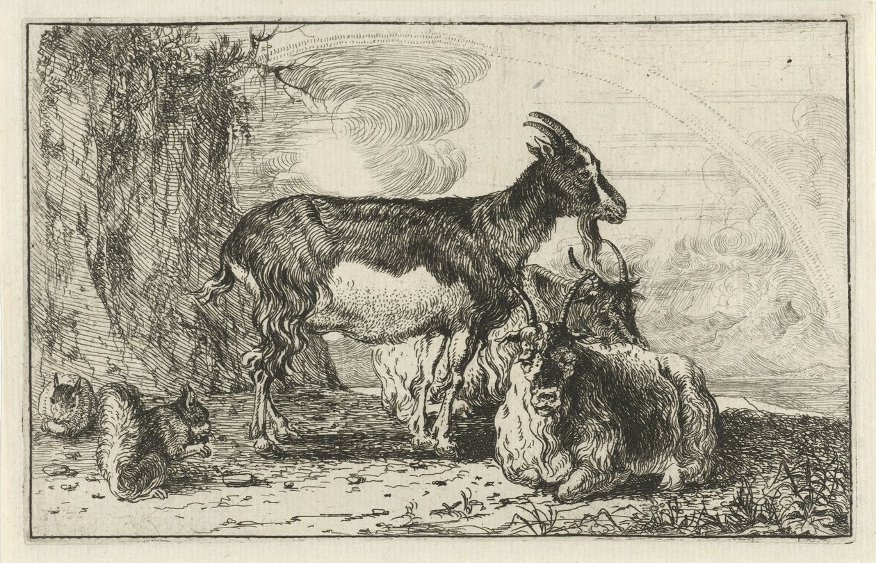 keçiler Hayvanlar (dizi adı) Zoographiam (dizi adı) by Jan van den Hecke