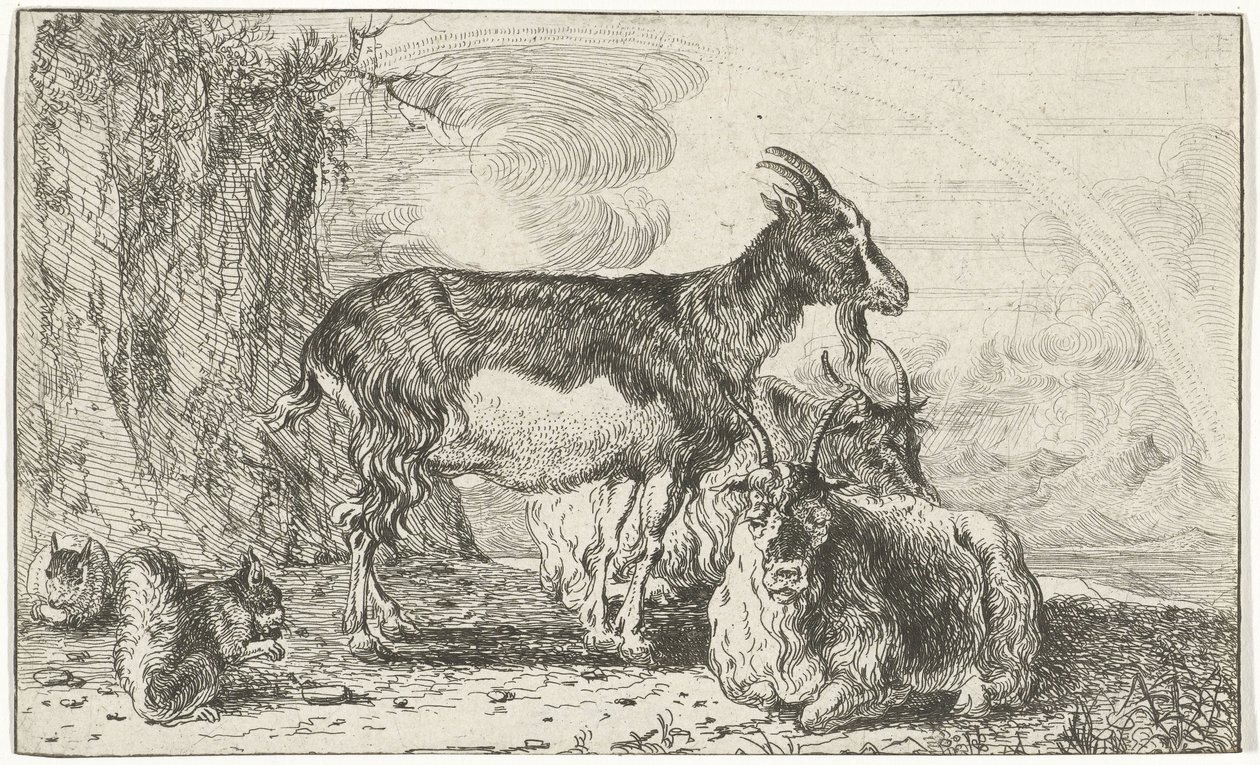 keçiler Hayvanlar (dizi adı) Zoographiam (dizi adı) by Jan van den Hecke