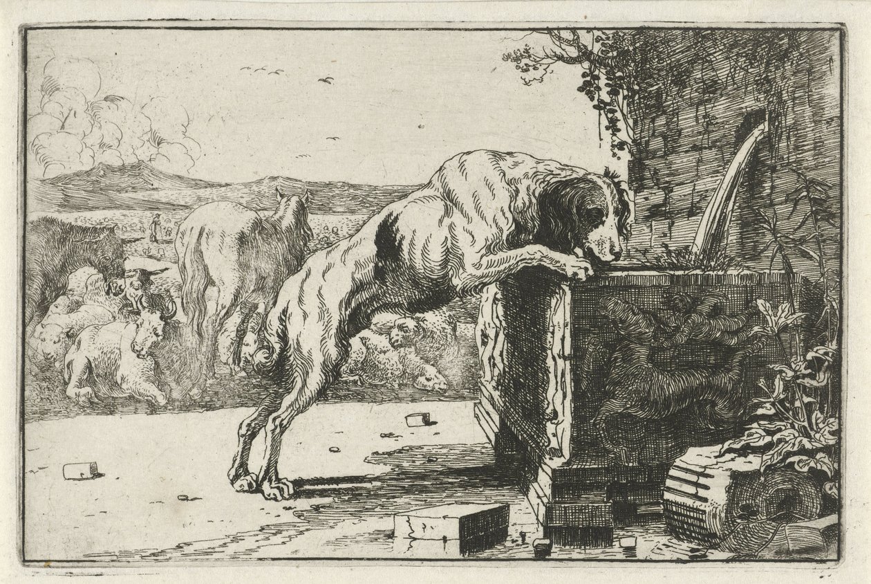 Çeşme başında köpek Hayvanlar (dizi adı) Zoographiam (dizi adı) by Jan van den Hecke