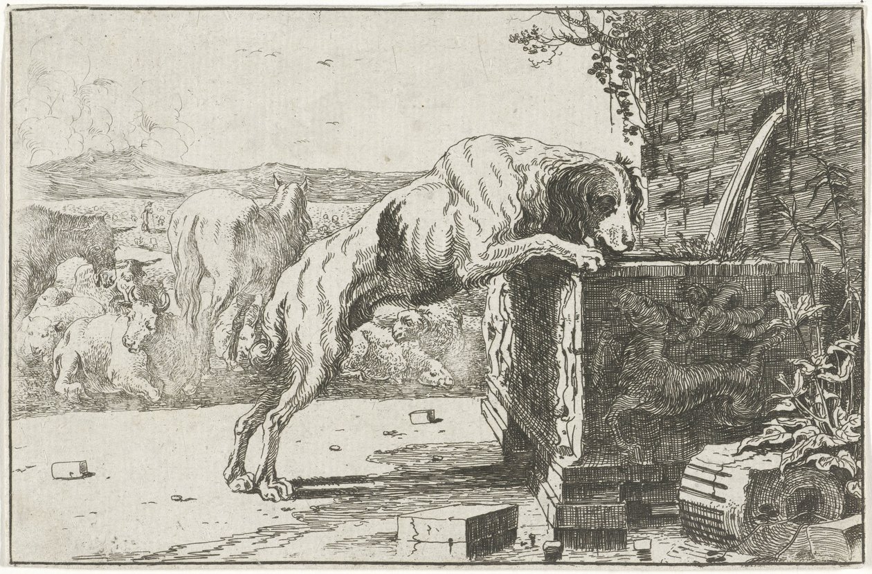 Bir çeşmede köpek Hayvanlar (dizi adı) Zoographiam (dizi adı) by Jan van den Hecke