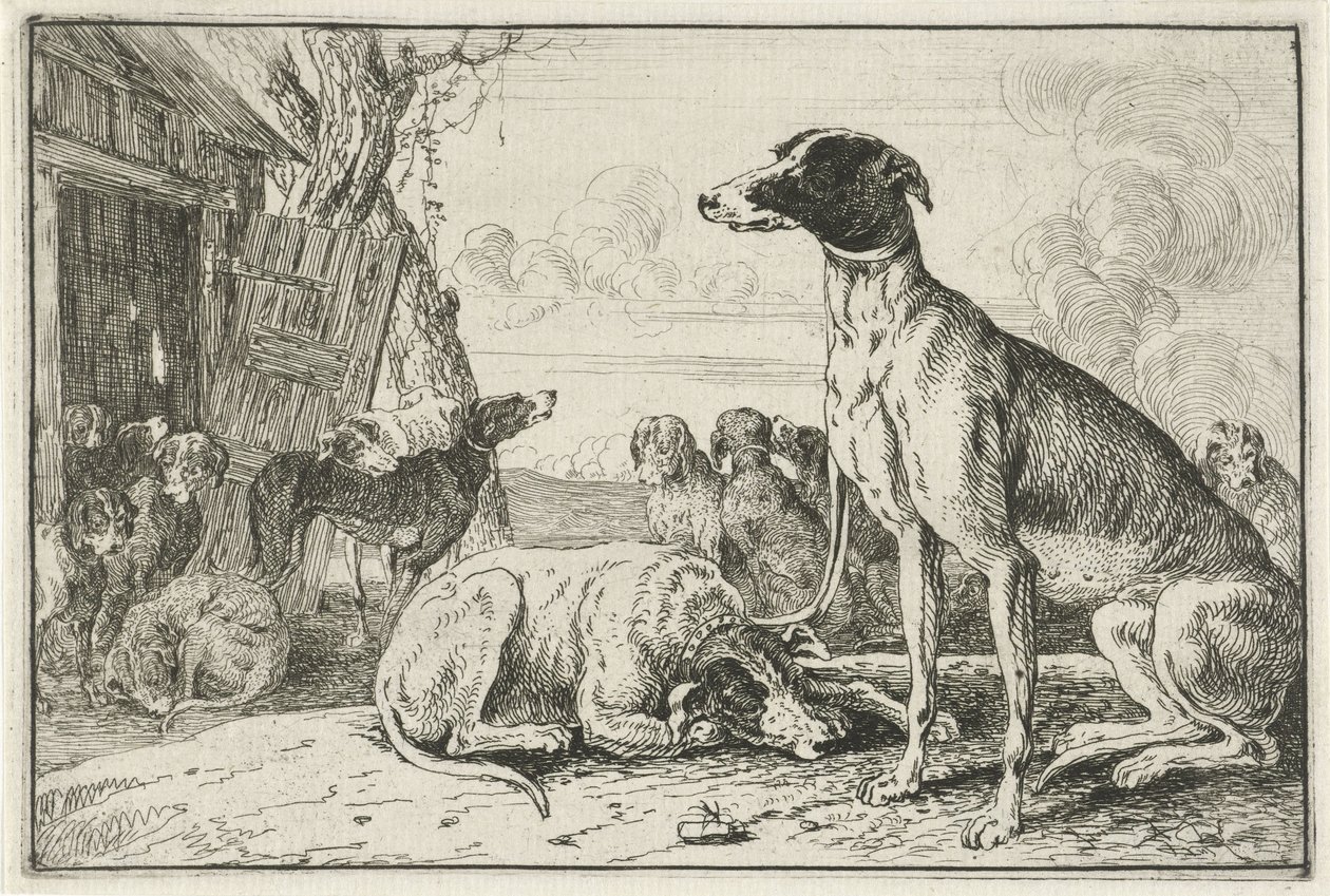 Köpek kulübesi Hayvanlar (dizi adı) Zoographiam (dizi adı) by Jan van den Hecke
