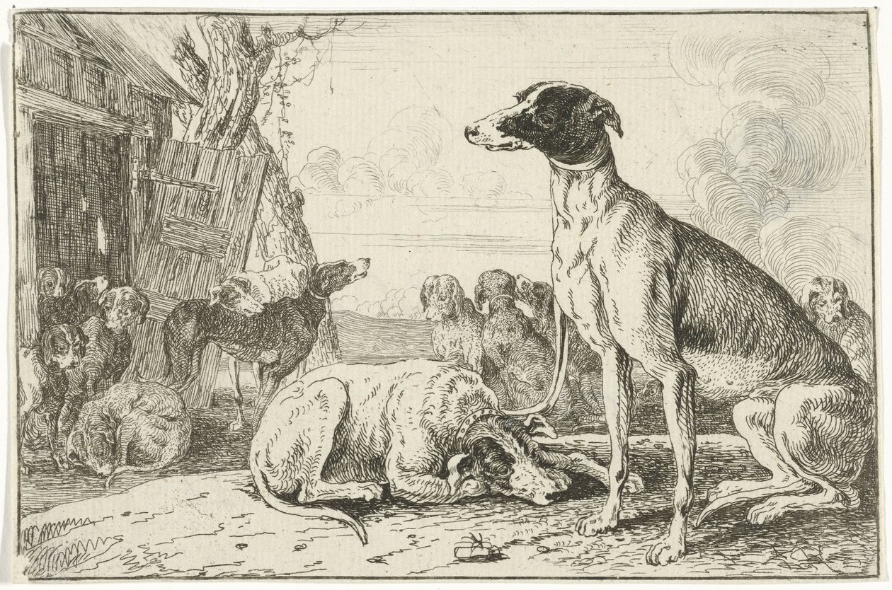 Köpek kulübesi Hayvanlar (dizi adı) Zoographiam (dizi adı) by Jan van den Hecke