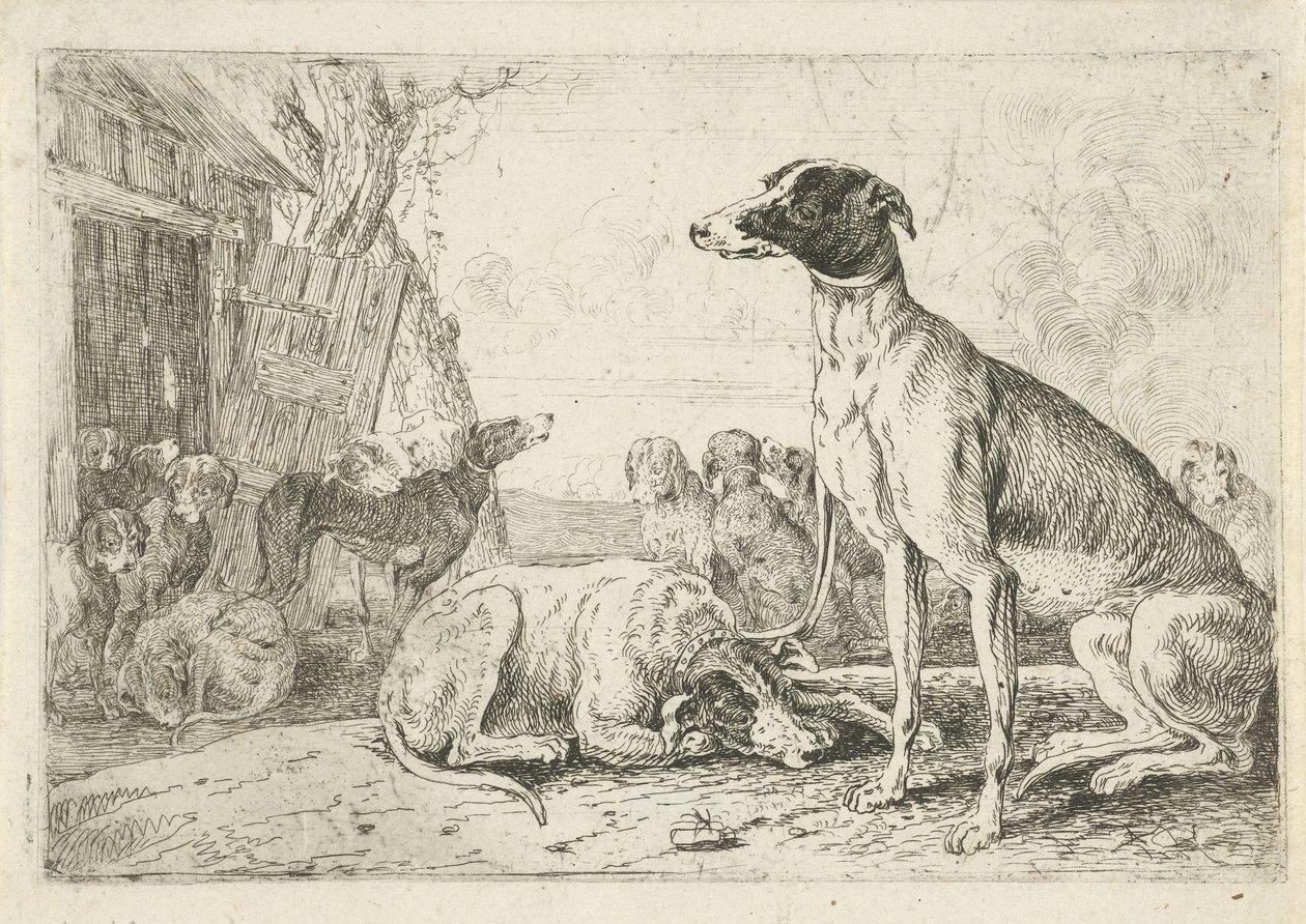 Köpek kulübesi Hayvanlar (dizi adı) Zoographiam (dizi adı) by Jan van den Hecke