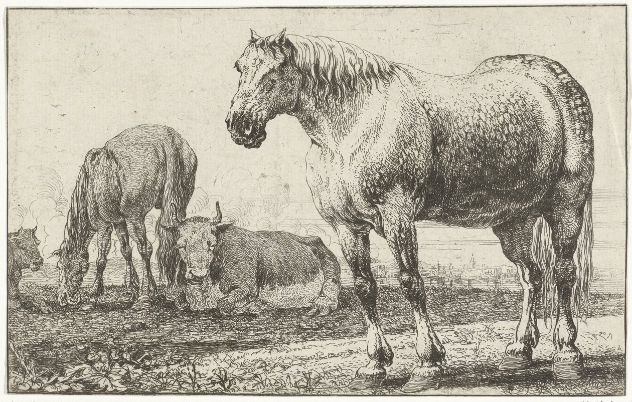 Atlar ve İnekler Hayvanlar (dizi adı) Zoographiam (dizi adı) by Jan van den Hecke