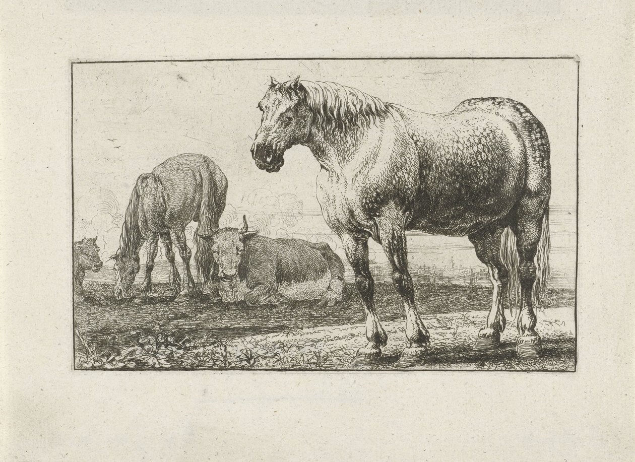 Atlar ve İnekler Hayvanlar (dizi adı) Zoographiam (dizi adı) by Jan van den Hecke