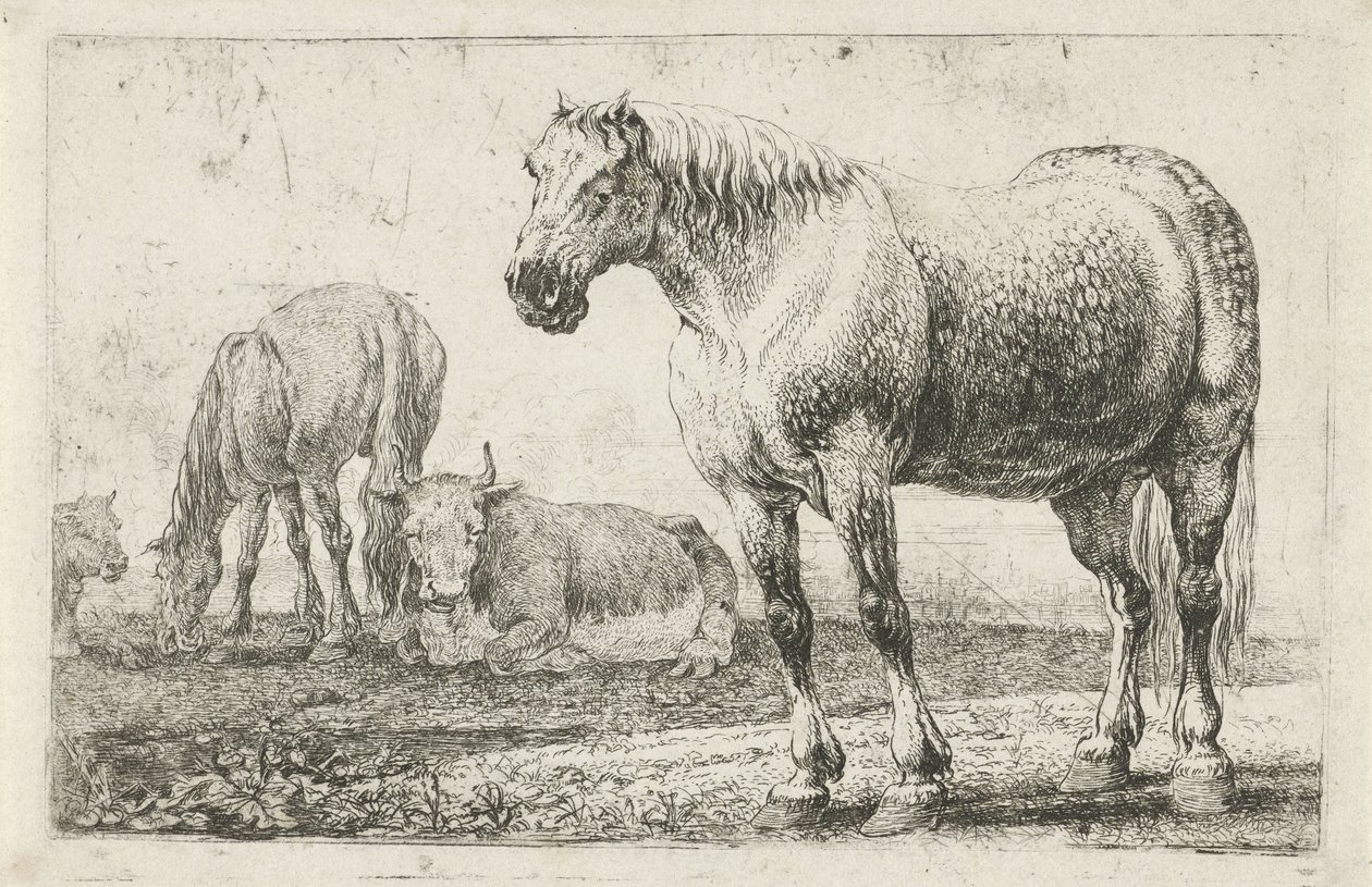 Atlar ve İnekler Hayvanlar (dizi adı) Zoographiam (dizi adı) by Jan van den Hecke