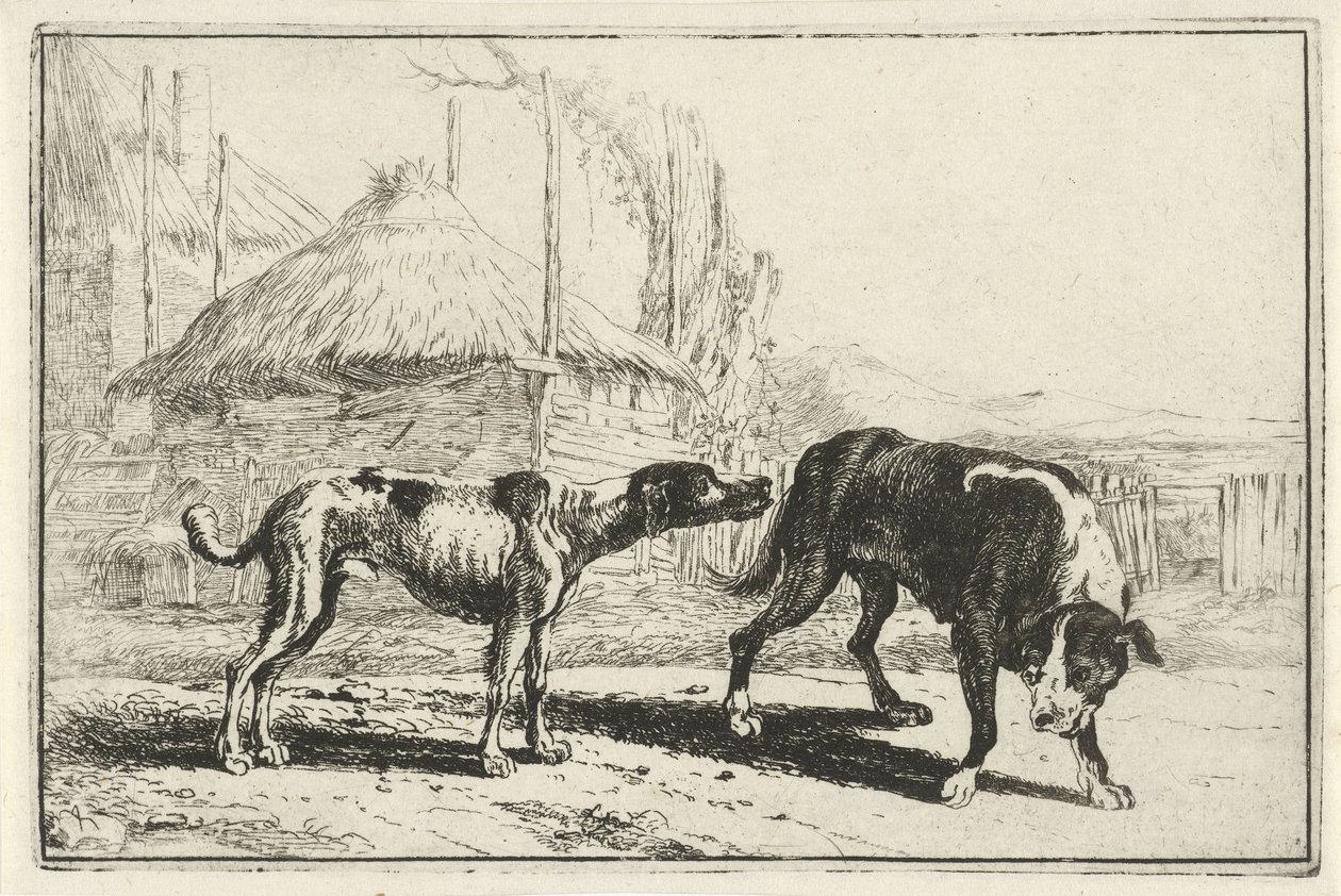 Erkek ve kadın Hayvanlar (dizi adı) Zoographiam (dizi adı) by Jan van den Hecke