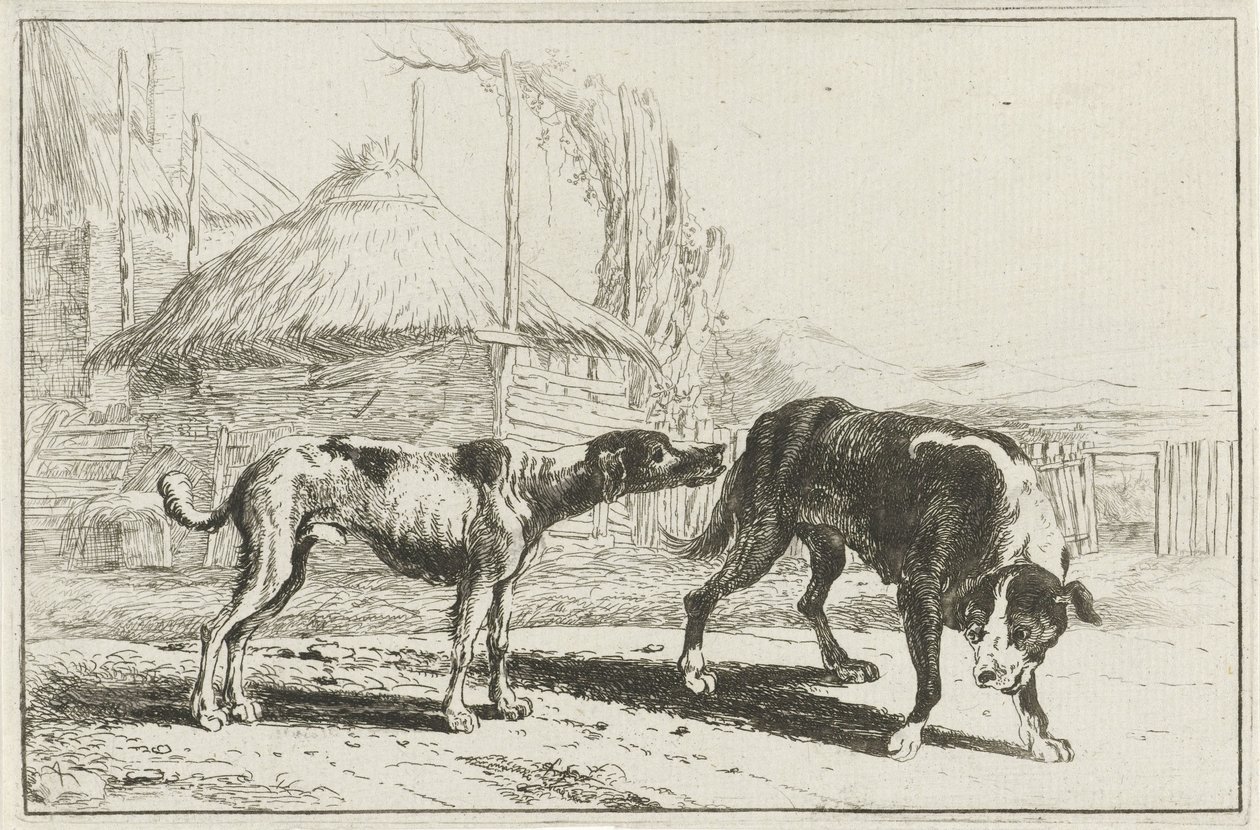Erkek ve kadın Hayvanlar (dizi adı) Zoographiam (dizi adı) by Jan van den Hecke
