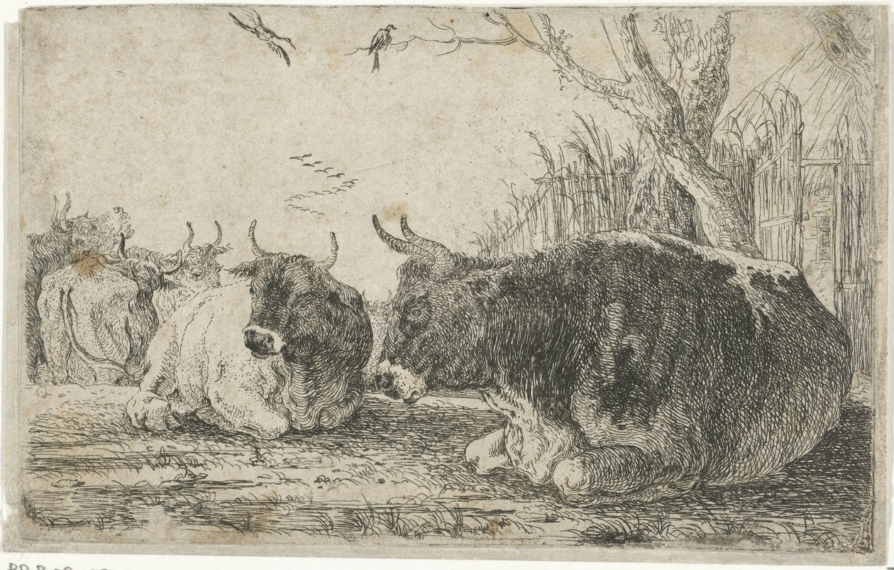 Dinlenen İnekler Hayvanlar (dizi başlığı) Zoographiam (dizi başlığı) by Jan van den Hecke