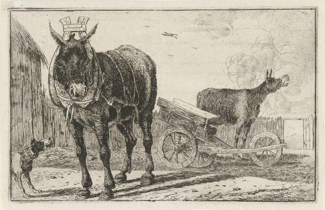 iki eşek Hayvanlar (dizi adı) Zoographiam (dizi adı) by Jan van den Hecke
