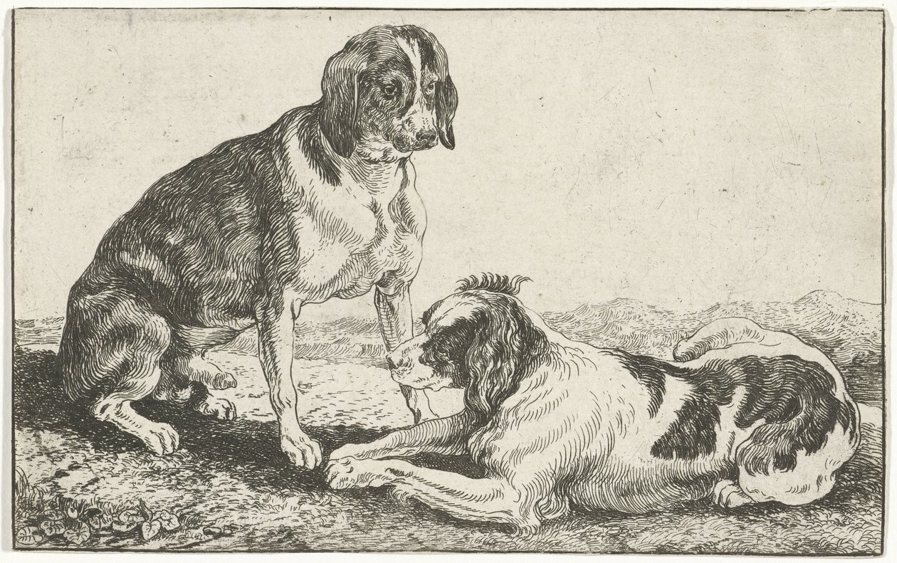 iki dinlenme köpek Hayvanlar (dizi adı) Zoographiam (dizi adı) by Jan van den Hecke