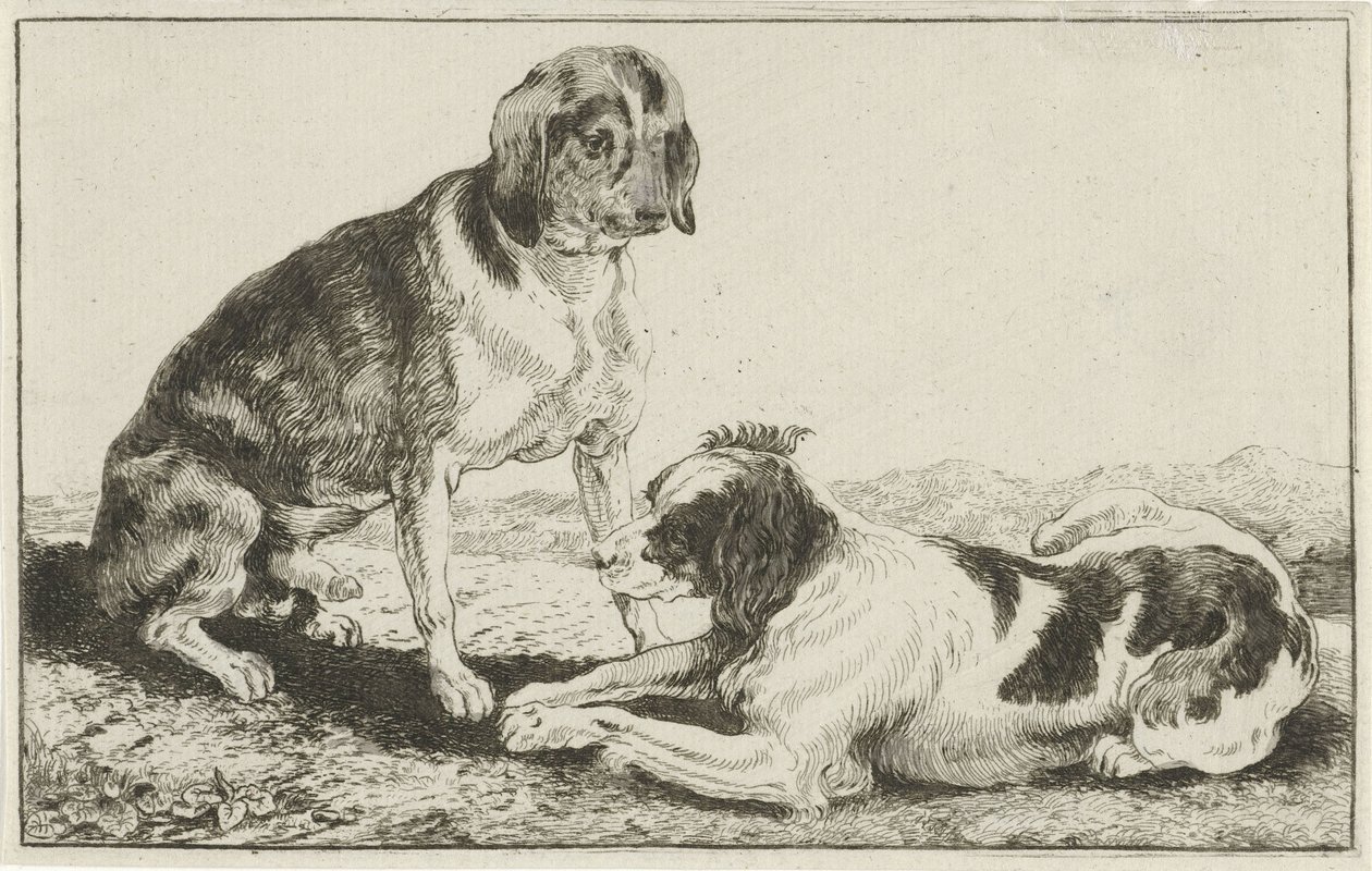 iki dinlenme köpek Hayvanlar (dizi adı) Zoographiam (dizi adı) by Jan van den Hecke