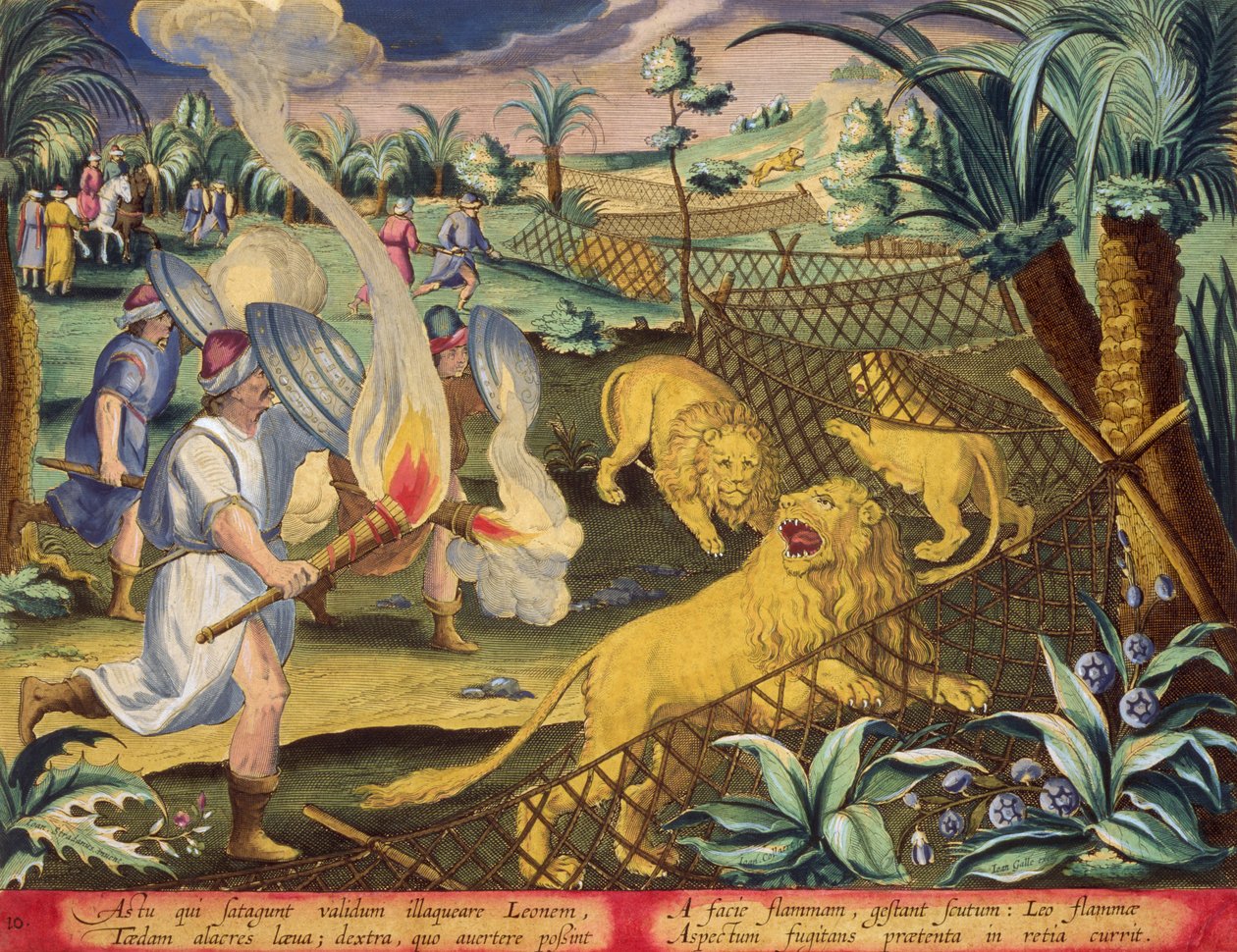 Muhtemelen Roma Kuzey Afrika'sında bir Roma Avı, Jan Collaert (1566-1628) tarafından oyulmuş 'Venationes Ferarum, Avium, Piscium'dan (Avlanma: Yabani Canavarlar, Kuşlar, Balık) levha 10, Amsterdam'dan Phillipus Gallaeus (el renkli gravür) by Jan van der (1523 1605) (after) Straet