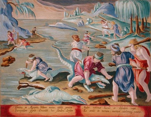 Timsahları Sopa ve Sopa Kullanarak Öldürmek, Jan Collaert (1566-1628) tarafından oyulmuş 'Venationes Ferarum, Avium, Piscium'dan (Avlanma: Yabani Canavarlar, Kuşlar, Balık) levha 88, Amsterdam'dan Phillipus Gallaeus (el renkli gravür) by Jan van der (1523 1605) (after) Straet